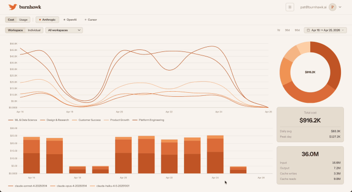 BurnHawk dashboard in action